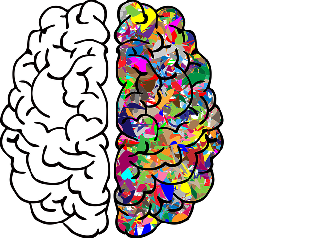 Nootropics in India: Where to buy them?