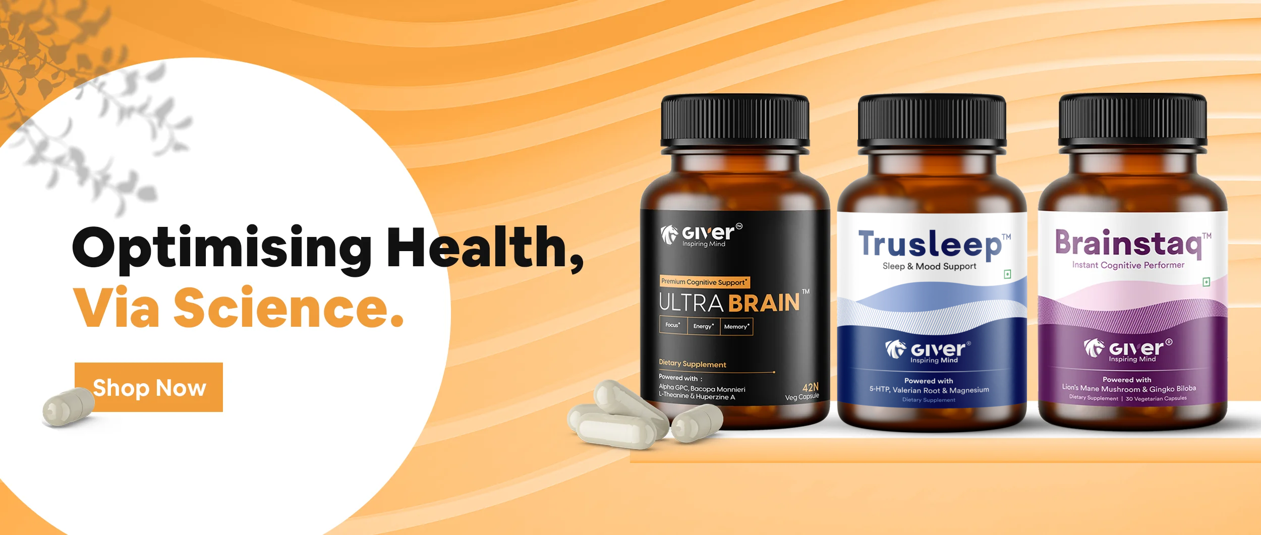 Giver Nutrition